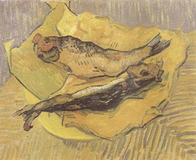 Vincent Van Gogh Crab on Its Back (nn04)